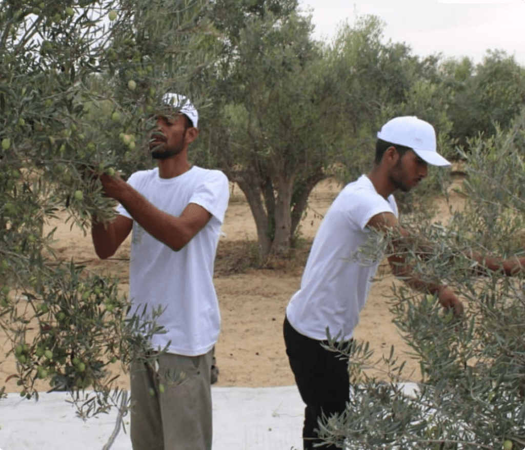 Agricultural Development Initiative